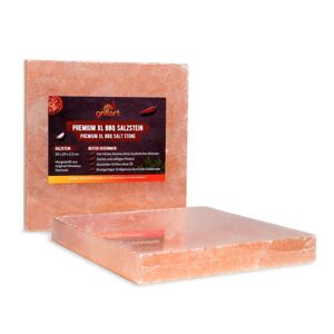 Pierres de sel de haute qualité pour griller - paquet de 2 - carrées (avec boîte d'expédition