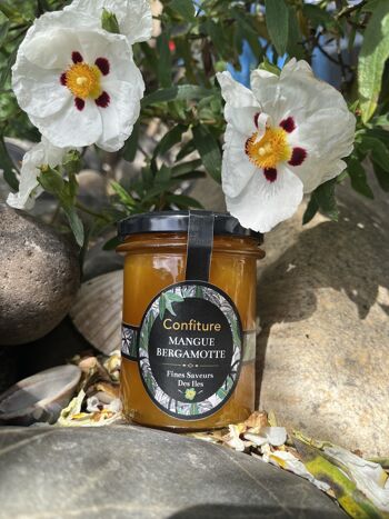 FINES SAVEURS DES ÎLES - Confiture artisanale Mangue Bergamote - Pot 250g 3