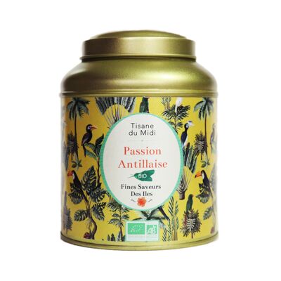 FINE FLAVORS OF THE ISLANDS - Tisana di mezzogiorno biologica esotica - Passione caraibica - Uva, banana, cocco, cannella - Scatola di metallo da 100 g