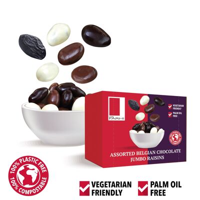 Assorted Belgian Chocolate Coated Jumbo Raisins in Snack Boxes