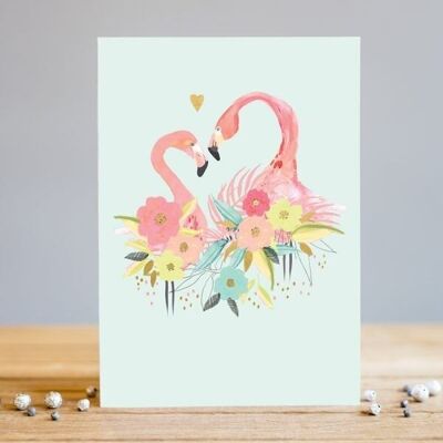 Flamingo amor en blanco