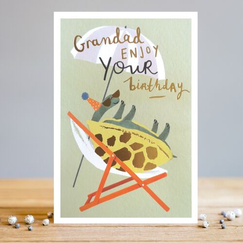 Grandad Birthday Turtle