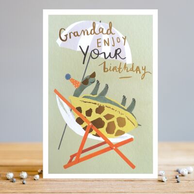 Tartaruga di compleanno del nonno
