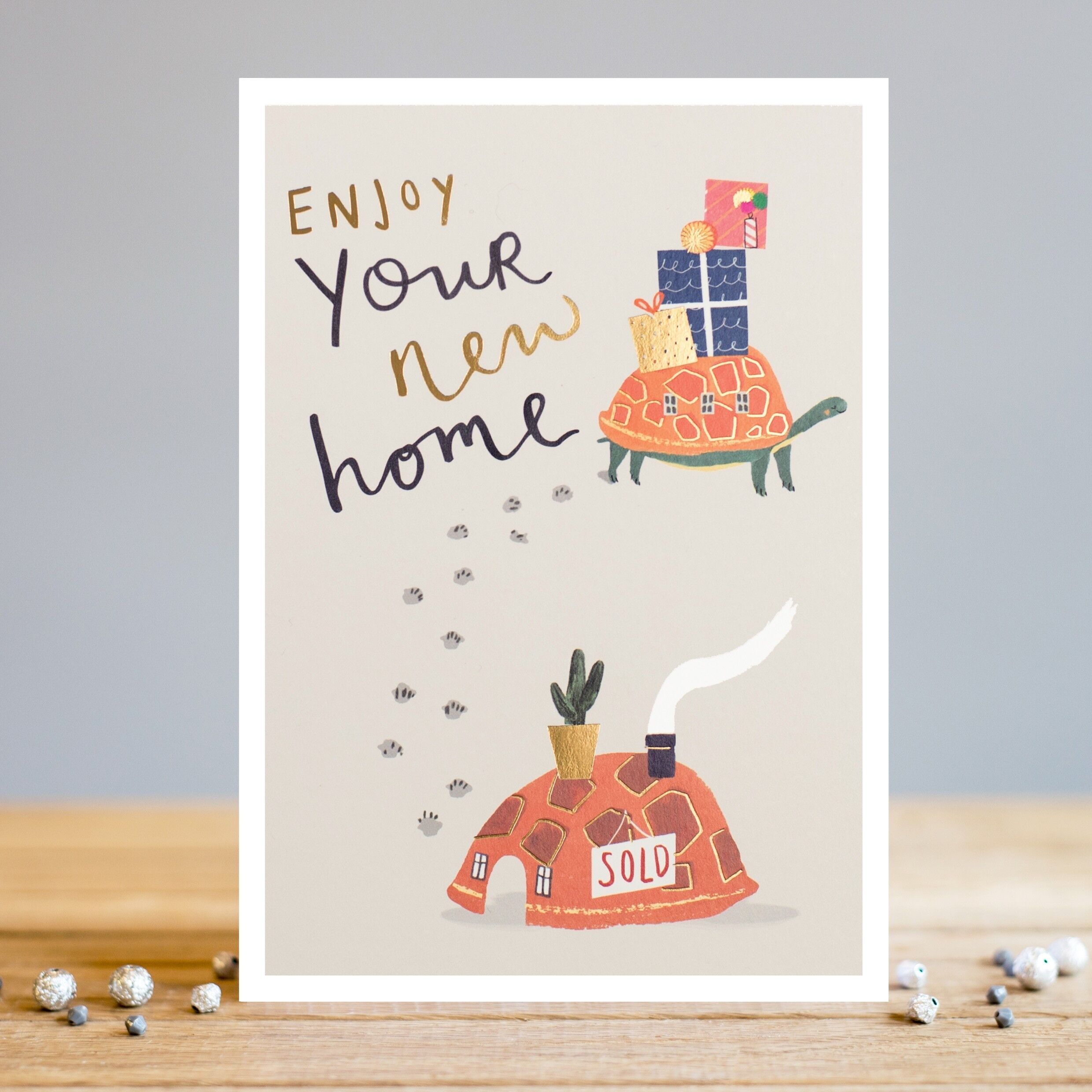 Nouvelle maison tortue