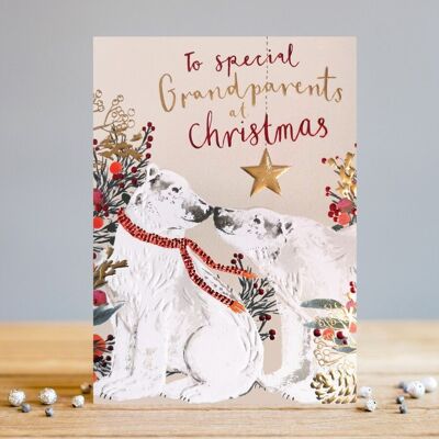 Grands-parents spéciaux à Noël