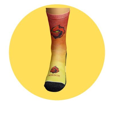 ROKSOX Sportsocken 20.30