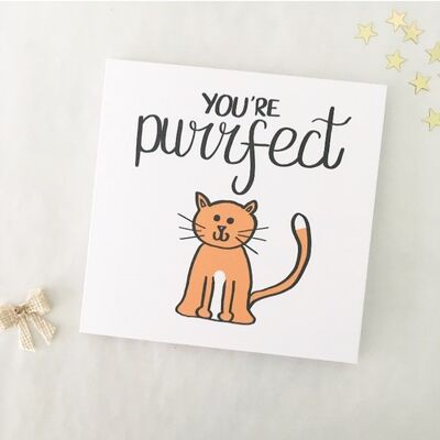 Greetings card - You're Purrfect