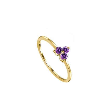 Anillo iris