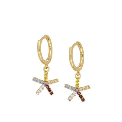 Allure creole earrings