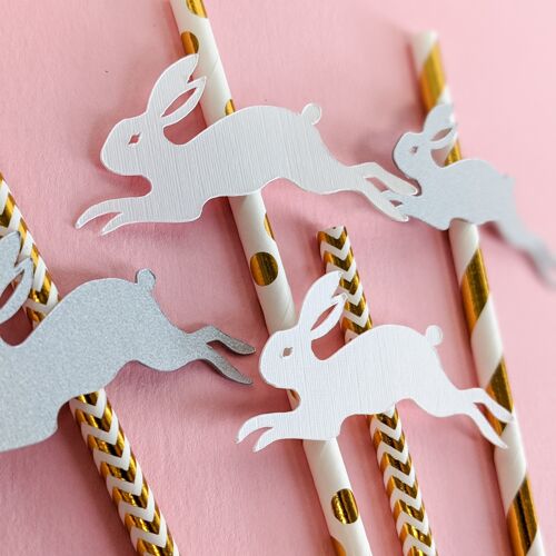 Bunny Rabbit Party Straws - Pack of 10