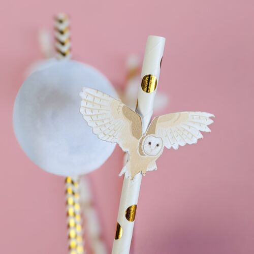 Owl and Moon, Gold and White Eco-Friendly Party Straws - Pack of 10
