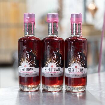 Steeltown Welsh Blueberry Gin , 20cl 2