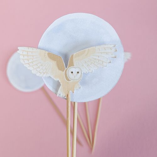Owl and Moon Cupcake Toppers - Pack of 10