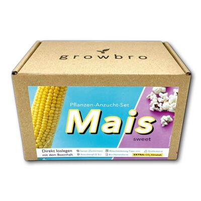 ensemble de culture de maïs growbro | Coffret explorateur de jardin, enfants explorateurs, découvrir la nature, cadeau pour enfant, anniversaire enfant