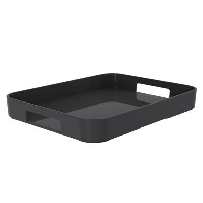 gallery tray L - 1