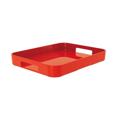 gallery tray L  - 3