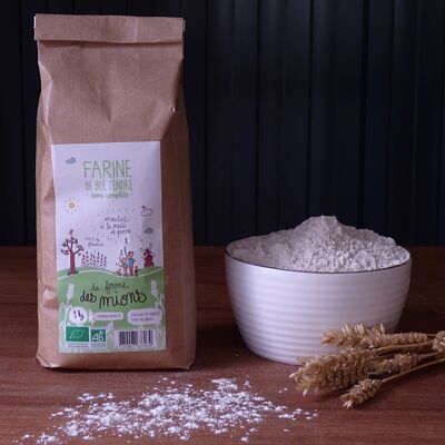 Semi-complete flour (type 80) 1 kg