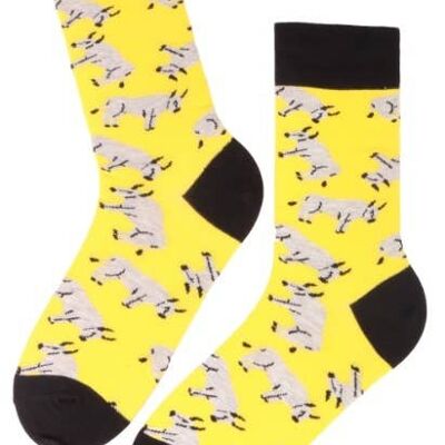 OX 2021 gelbe Socken für das Büffeljahr