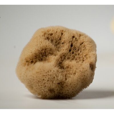 Natural, unbleached "silk" facial sea sponge  7.5-8.5cm