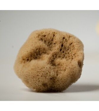 Make up Removal and Application fine silk UNBLEACHED  sea sponge 4-5cm