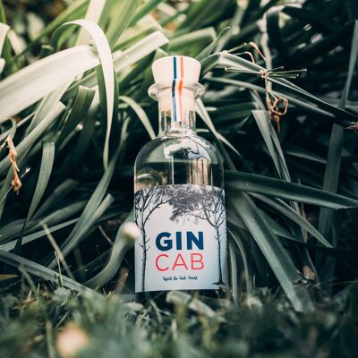 GinCab - London Dry Gin Orgánico