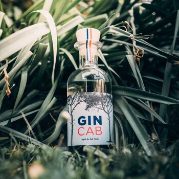 GinCab - London Dry Gin Bio 1