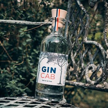 GinCab - London Dry Gin Bio 2