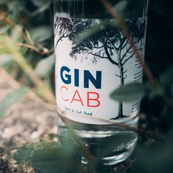 GinCab - London Dry Gin Bio 3