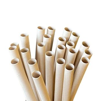 Pailles en bambou jetables Vie Gourmet, 197x10mm, 50 pcs 4