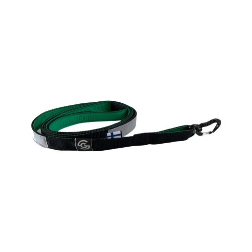 Sustainable dog leash - Green