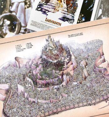 Carte du film DANS LE LABYRINTHE - Affiche - Format DINA2 4