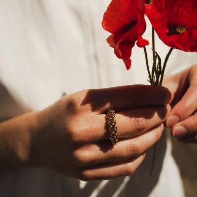 anillo ester