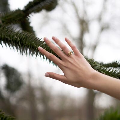 anillo suzie