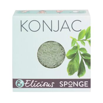 Eponge visage naturelle Konjac Aloe Vera - hydratante 3