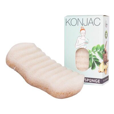 Éponge de bain Konjac naturelle Noyer - gommage doux