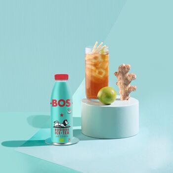 Ice Tea Citron Vert&Gingembre - Rooibos Bio - 500ml PET - BOS 3