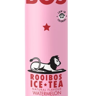Ice Tea Pastèque & Menthe - Rooibos Bio - 1L PET - BOS