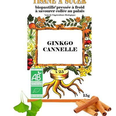 Tisane à sucer GINKGO/CANNELLE