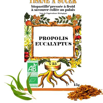 Tisane à sucer PROPOLIS/EUCALYPTUS