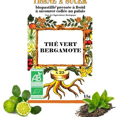 TÉ VERDE/Té de hierbas BERGAMOTA