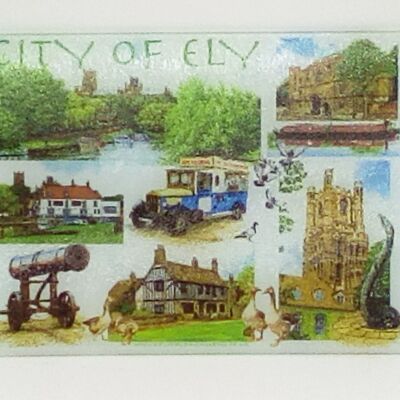 Glass Cutting board. Ely multi image