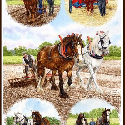 Heavy Horses.Micro Fibre Tea Towel