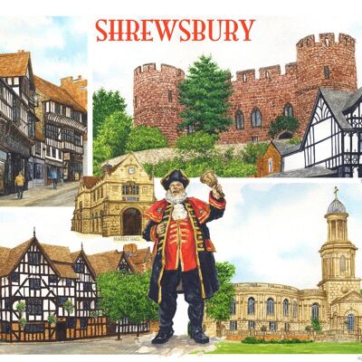 Karte, Shrewsbury Multi-Bild, (LS).