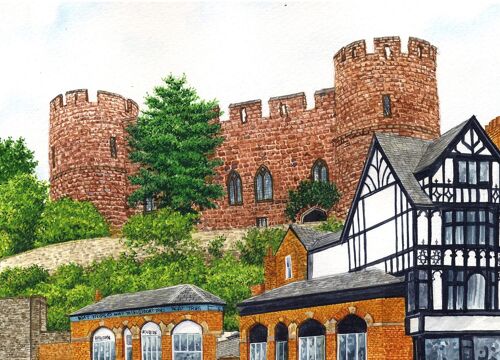 Card, Shrewsbury Castle.