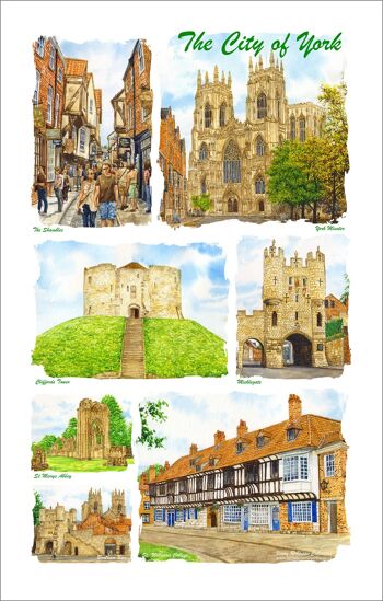 Torchon, York Multi Image, (Coton)