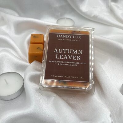 Autumn Leaves Wax Melts