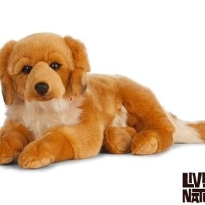 Golden Retriever zittend groot