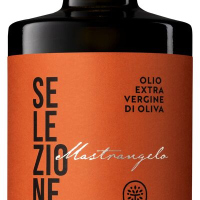 FRUTO LIGERO SELECCIÓN MASTRANGELO 500ml