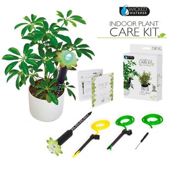Kit d'entretien des plantes Home & Away - prenez soin de vos plantes d'intérieur 4
