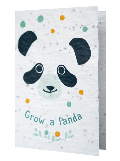 Groeikaart - Grow a Panda